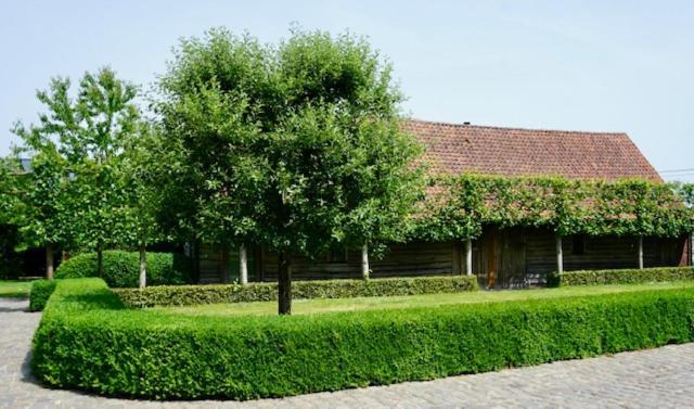 איזגם B&B De Hulst מראה חיצוני תמונה